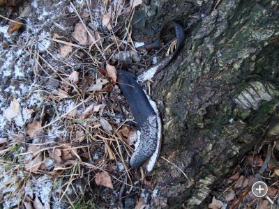 Klicka fÃ¶r stÃ¶rre