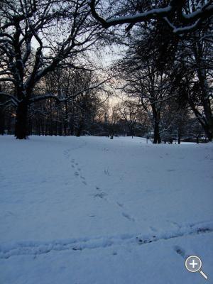 Klicka fÃ¶r stÃ¶rre