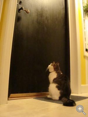 Klicka fÃ¶r stÃ¶rre