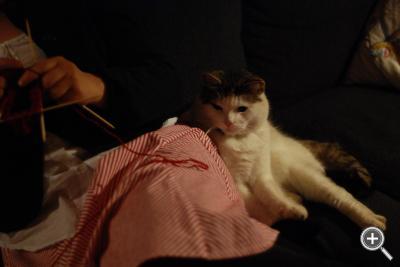 Klicka fÃ¶r stÃ¶rre