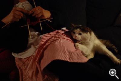 Klicka fÃ¶r stÃ¶rre