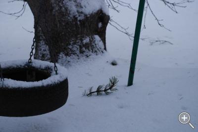 Klicka fÃ¶r stÃ¶rre