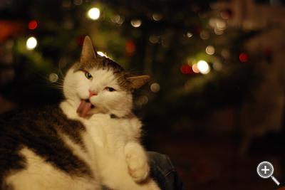 Klicka fÃ¶r stÃ¶rre