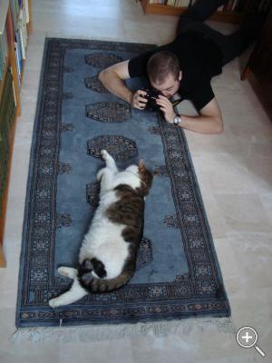 Klicka fÃ¶r stÃ¶rre