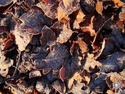 Klicka fÃ¶r stÃ¶rre