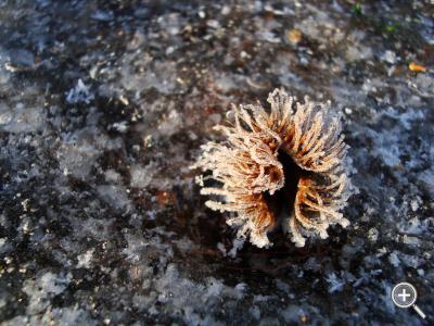 Klicka fÃ¶r stÃ¶rre