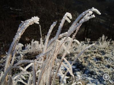 Klicka fÃ¶r stÃ¶rre
