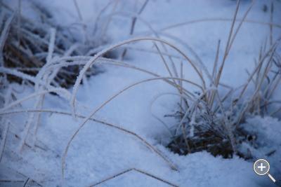 Klicka fÃ¶r stÃ¶rre