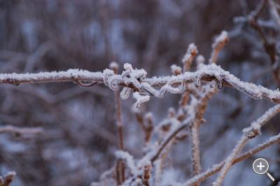 Klicka fÃ¶r stÃ¶rre