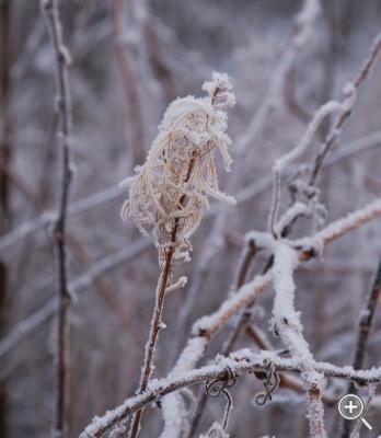 Klicka fÃ¶r stÃ¶rre