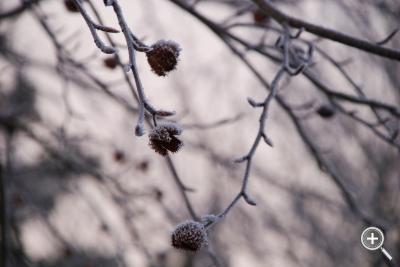 Klicka fÃ¶r stÃ¶rre