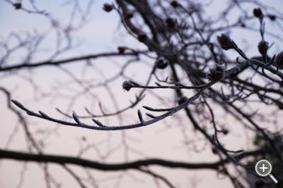 Klicka fÃ¶r stÃ¶rre