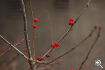 Klicka fÃ¶r stÃ¶rre