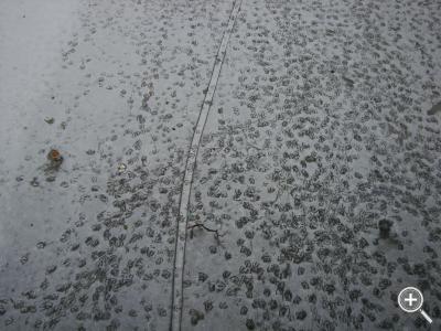 Klicka fÃ¶r stÃ¶rre