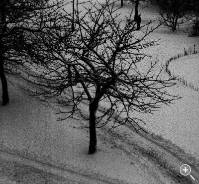 Klicka fÃ¶r stÃ¶rre