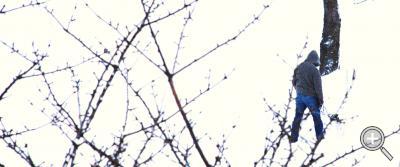 Klicka fÃ¶r stÃ¶rre