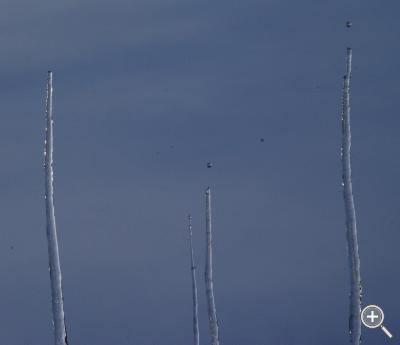 Klicka fÃ¶r stÃ¶rre