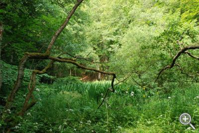 Klicka fÃ¶r stÃ¶rre
