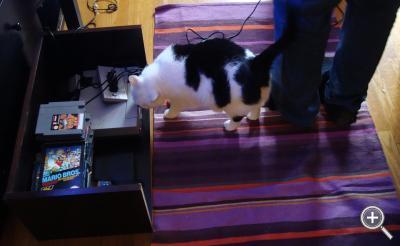 Klicka fÃ¶r stÃ¶rre