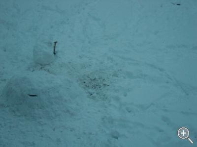 Klicka fÃ¶r stÃ¶rre