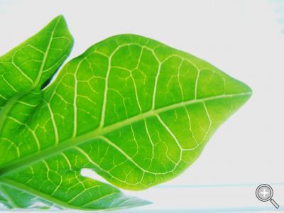 Klicka fÃ¶r stÃ¶rre