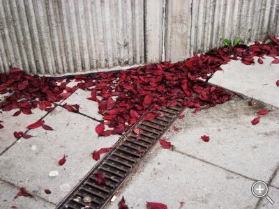 Klicka fÃ¶r stÃ¶rre