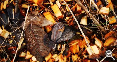 Klicka fÃ¶r stÃ¶rre