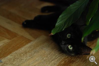 Klicka fÃ¶r stÃ¶rre