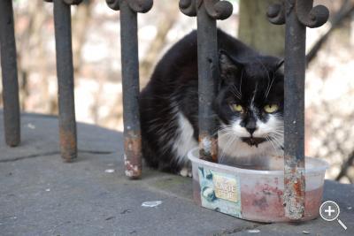 Klicka fÃ¶r stÃ¶rre