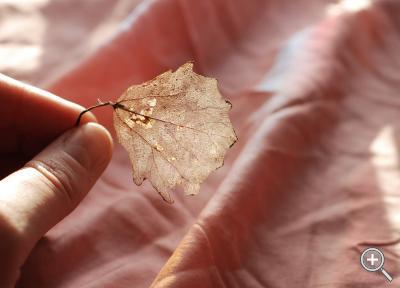 Klicka fÃ¶r stÃ¶rre