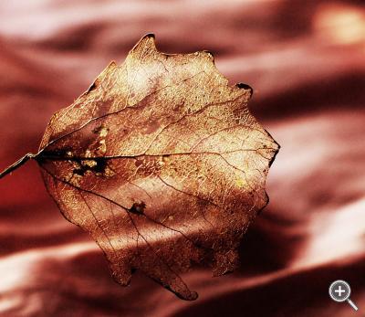 Klicka fÃ¶r stÃ¶rre