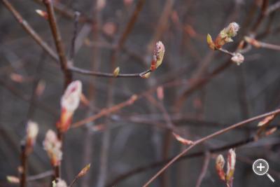 Klicka fÃ¶r stÃ¶rre