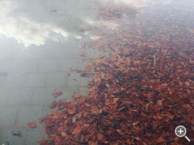 Klicka fÃ¶r stÃ¶rre