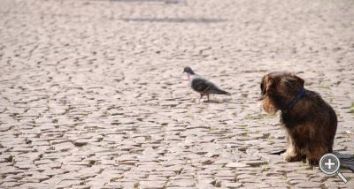 Klicka fÃ¶r stÃ¶rre