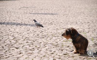 Klicka fÃ¶r stÃ¶rre