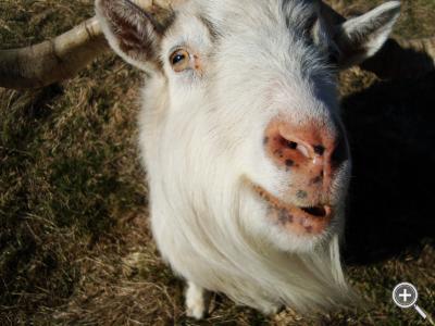 Klicka fÃ¶r stÃ¶rre