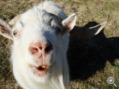 Klicka fÃ¶r stÃ¶rre