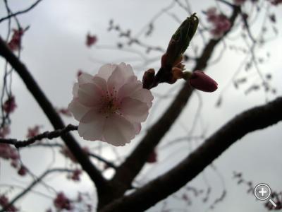 Klicka fÃ¶r stÃ¶rre