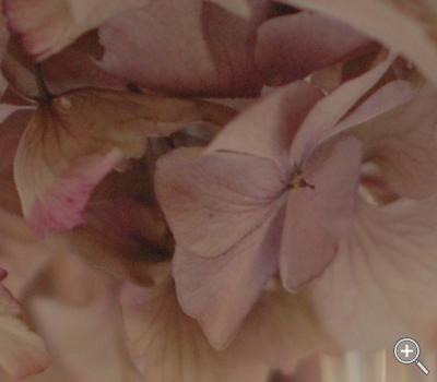 Klicka fÃ¶r stÃ¶rre