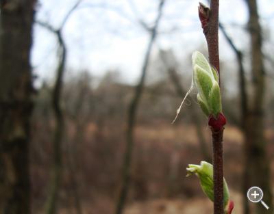 Klicka fÃ¶r stÃ¶rre