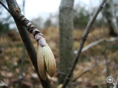 Klicka fÃ¶r stÃ¶rre