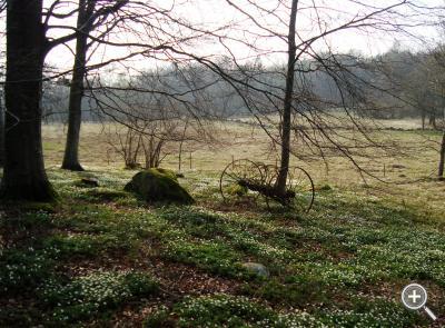 Klicka fÃ¶r stÃ¶rre