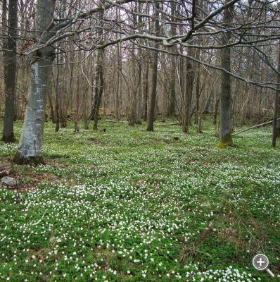 Klicka fÃ¶r stÃ¶rre