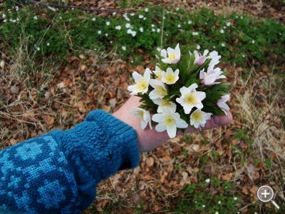 Klicka fÃ¶r stÃ¶rre