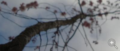 Klicka fÃ¶r stÃ¶rre