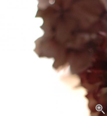 Klicka fÃ¶r stÃ¶rre