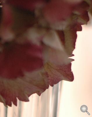 Klicka fÃ¶r stÃ¶rre