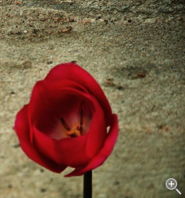 Klicka fÃ¶r stÃ¶rre