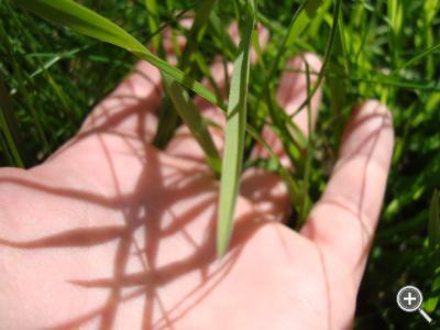 Klicka fÃ¶r stÃ¶rre