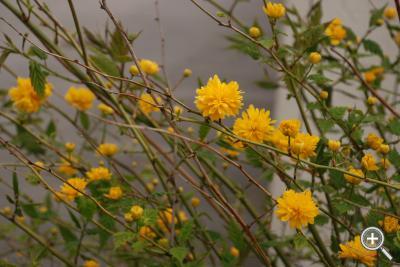 Klicka fÃ¶r stÃ¶rre